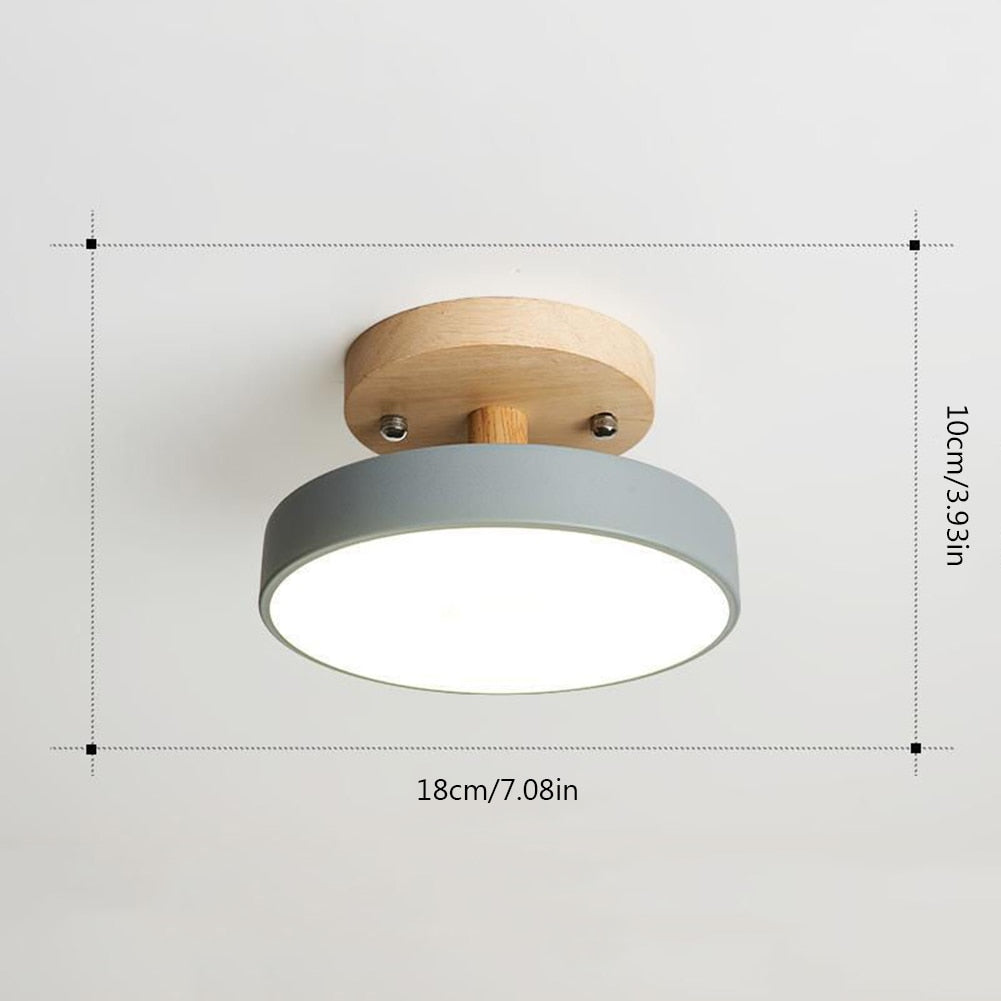 Pastel Disc Light Fixture