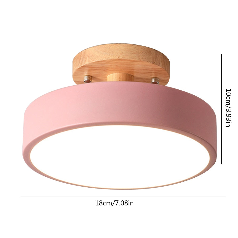 Pastel Disc Light Fixture