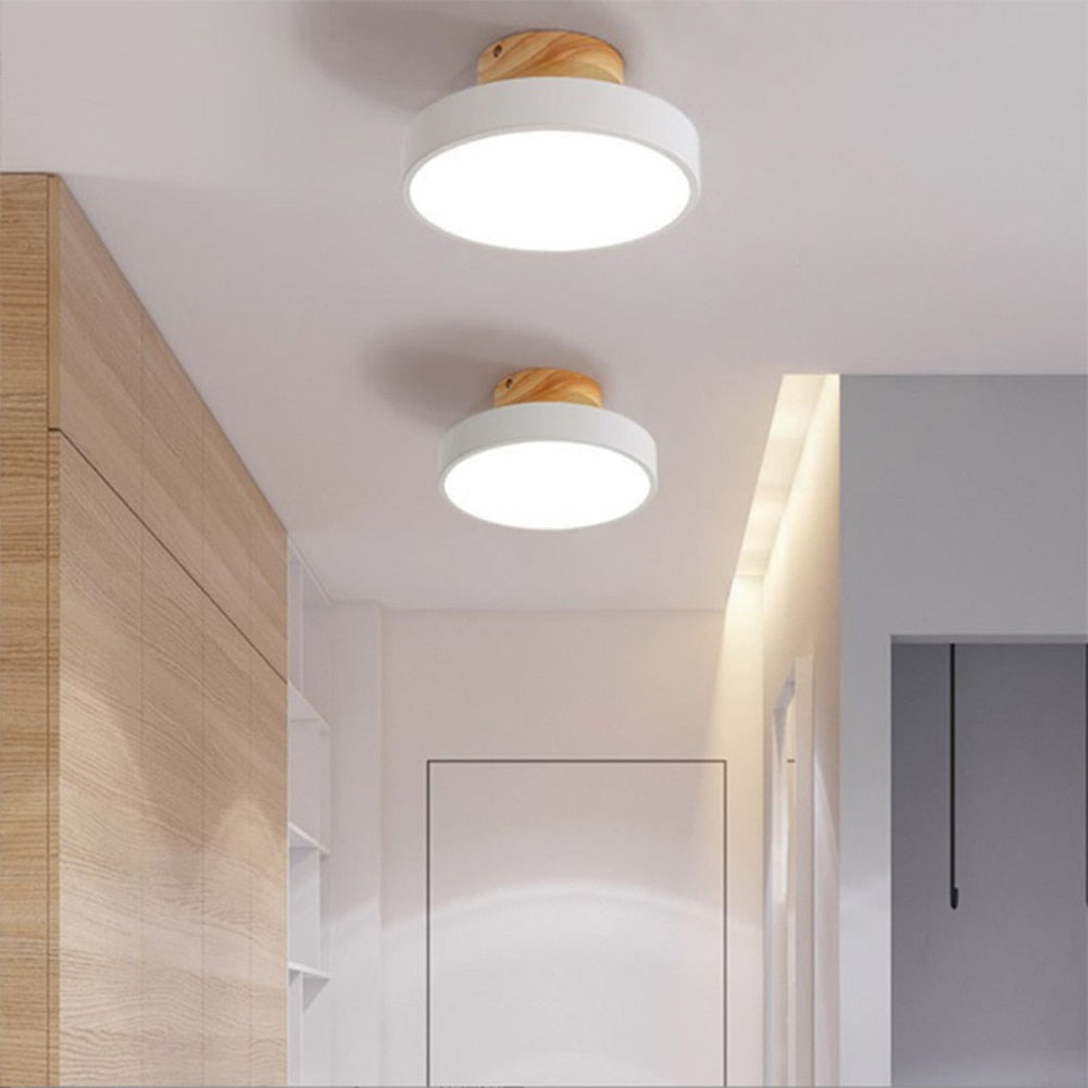 Pastel Disc Light Fixture